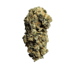 Remexian 21/1 ISL Animal Face